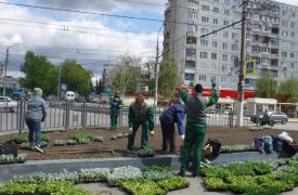Тульская красота: на пересечении ул. Пузакова и ул. Демидовской сажают цветы