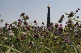 Куликово поле примет участников международной научной конференции