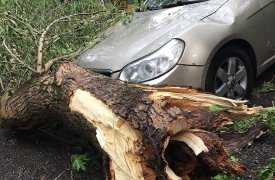 Ураган возвращается! В Тульской области введён режим «повышенной готовности»