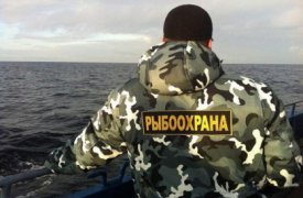 Рыбак, сломавший ногу инспектору рыбнадзора, может попасть за решётку на 10 лет