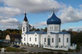 В Тульскую область привезут мощи Матроны Московской