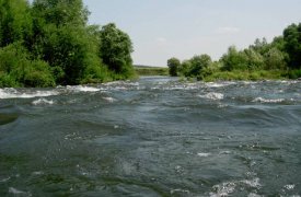 В Красивой Мече всплыл труп рыбака