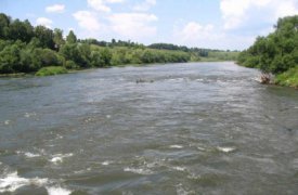 По факту обнаружения трупа в День города проводится доследственная проверка