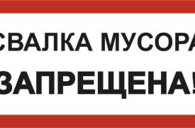 За минувшую неделю в Туле выявлено пять несанкционированных свалок