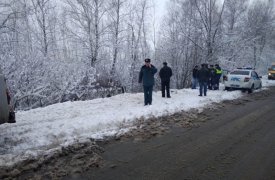 В Тульской области автобус перевернулся в кювет: двое пассажиров и водитель остались в живых