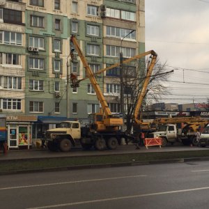 В Туле на улице Степанова из-за срубленного дерева отключают воду