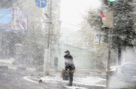 Погода в Туле 11 января: к вечеру похолодает до -8°