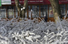 Погода в Туле на выходные: сильный ветер сдует морозы