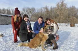 Известные тульские радиоведущие помогают найти хозяев бездомным животным