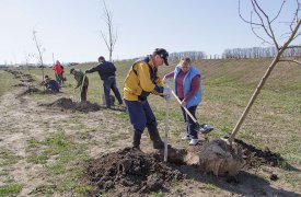 21 апреля в Тульской области пройдёт первый общеобластной субботник