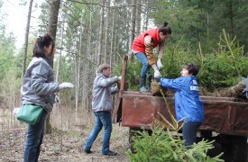 В музее-усадьбе «Ясная Поляна» прошла акция «Лесу – да! Свалкам – нет!»