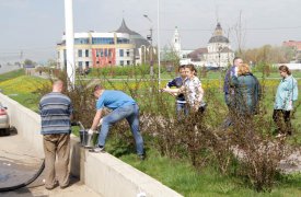 В Туле в общеобластном субботнике приняли участие более 20 тысяч человек