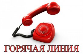 В Тульской области организованы «горячая линия» и консультации по профилактике ВИЧ-инфекции