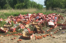 На тульском кладбище развели помойку