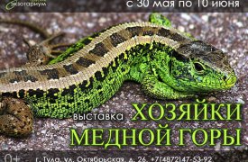 В Тульском экзотариуме посетители увидят сокровища «Хозяйки Медной горы»