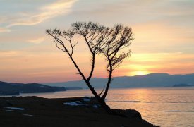 В Туле открывается выставка фотохудожника Г. Л. Богословского