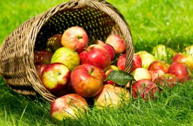 18 августа Краеведческий музей приглашает на экскурсию «Пришёл Спас – яблочко припас»