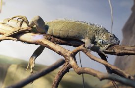 1 сентября в Туле: маленьких школьников приглашают сделать фото с ящером-первоклассницей