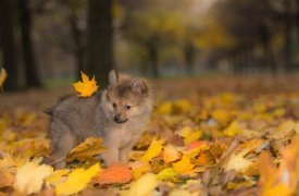 Погода в Туле 6 сентября: + 28° - тепло как летом