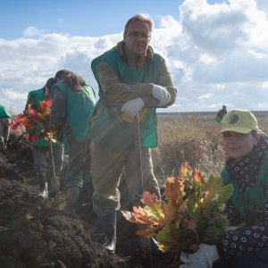 На Куликовом поле высадят около 4000 дубов в рамках эколого-патриотической акции «Зеленая Дубрава»