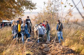 В рамках акции «Зеленый щит» в Туле высадили 2000 молодых деревьев