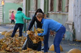 По итогам субботника в Туле вывезено более 900 куб метров листвы