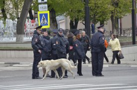 Фестиваль «Улыбнись, Россия!» вряд ли заставит улыбнуться тульских водителей