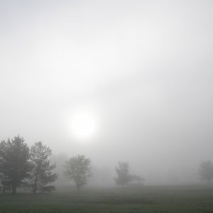 Погода в Туле: ёжики в тумане