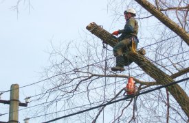 В Туле на ул. Тургеневской и М. Смирнова временно ограничат движение