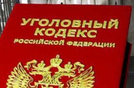 Напавший на девушку в Новомосковске молодой человек заключен под стражу