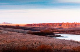 Выходные на Куликовом поле 24 и 25 ноября