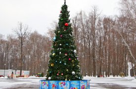 1 декабря во всех городских парках стартует проект «Зима по-тульски»