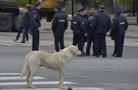 В новогодние каникулы следить за порядком в Туле будет городской штаб дежурных