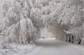 Погода в Туле 19 декабря: снежная сказка