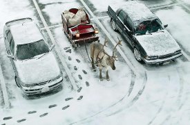 Паркуйтесь в новогодние праздники бесплатно!