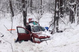 В Тульской области девушка на «Ладе Гранте» влетела в дерево