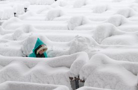 Погода в Туле 15 января: заметает зима, заметает...