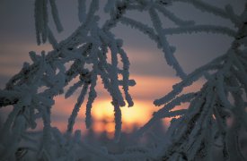 В Тулу идут аномальные морозы