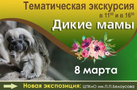 Туляков приглашают на экскурсии  