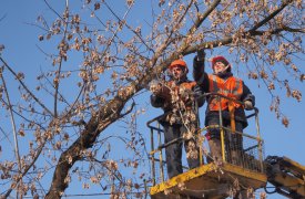 24 марта в Туле на Одоевском шоссе перекроют движение