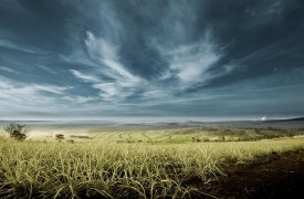 Тулякам расскажут про механизмы образования смысла в фотографии