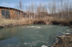 По факту обнаружения трупа в водоеме г. Кимовска проводится проверка