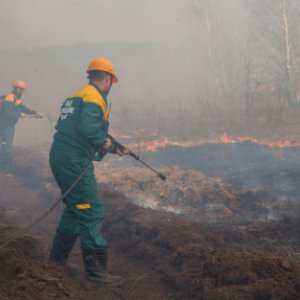 В Туле начался активный пал травы: 80 выездов пожарных за сутки