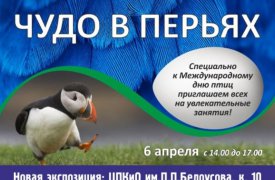 Тульский экзотариум приглашает сыграть в «Прятки с пернатыми»