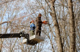 В Рогожинском парке будет звучать музыка