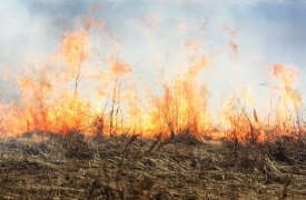 В Тульской области сохраняется 4 класс пожароопасности