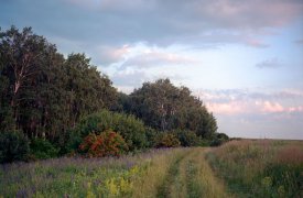 Выходные на Куликовом поле 1 и 2 июня: ковыльные моря, плетение из лыка и богатырские игры