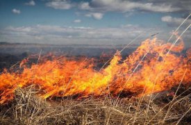 В Тульской области сохраняется высокий уровень пожароопасности