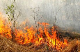 МЧС напоминает о высокой степени пожароопасности