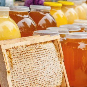 11 августа в Туле состоится большая ярмарка меда